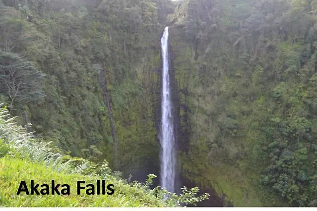 Villa Aloha Big Island Paradise à Mountain View États-Unis